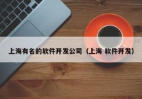 上海有名的软件开发公司（上海 软件开发）